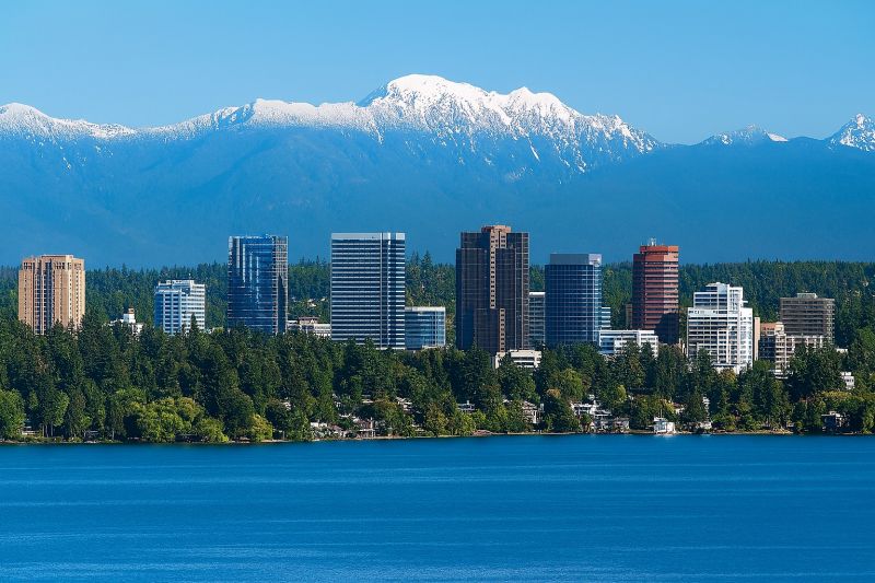 Best Shower Installation pros in Seattle, WA