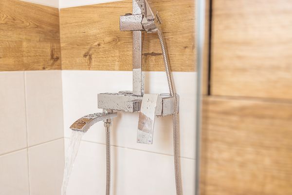 Shower Plumbing Installation in Bainbridge Island